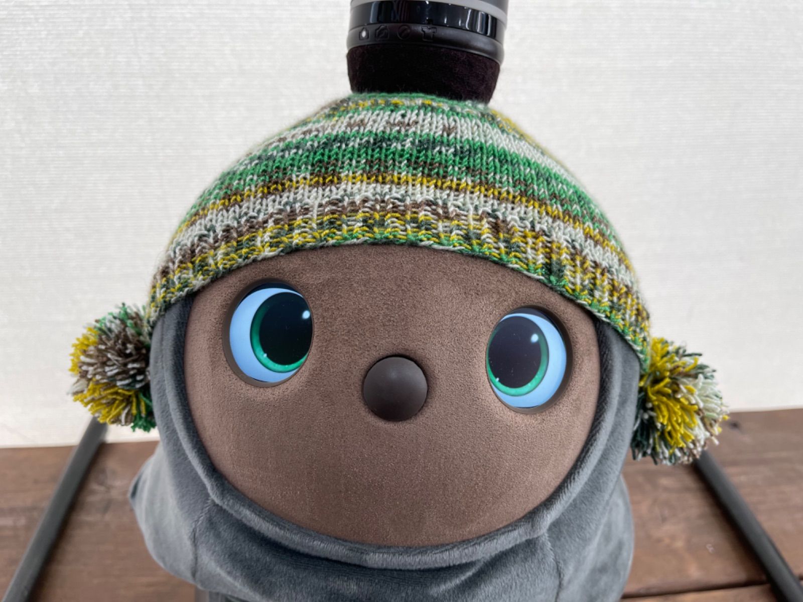 0626【ぬい整理中 プロフ一読】様☆さ専用ページ