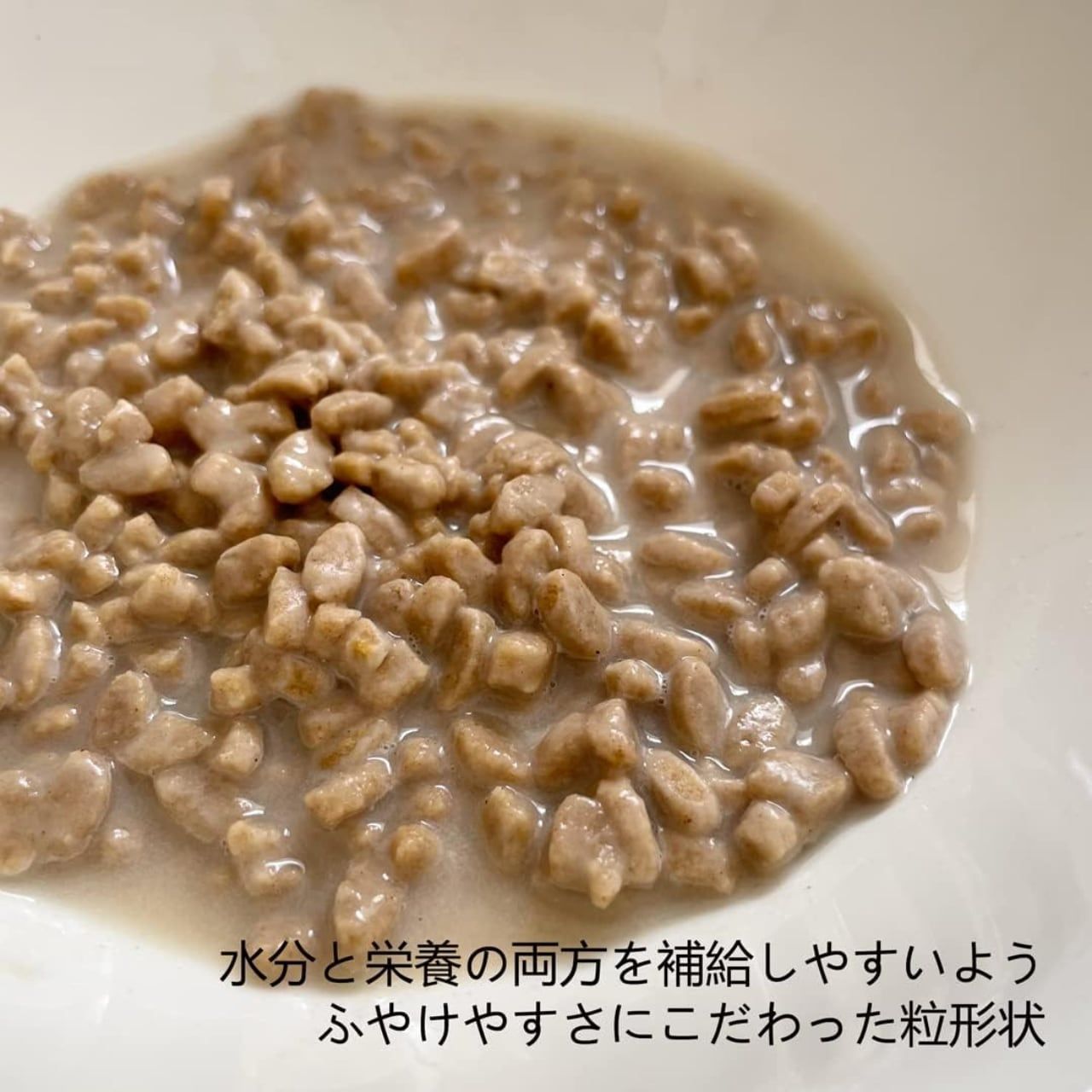 健康マネジメント腎臓サポート 犬用 食事療法食 ちょこっとパック 50g×6 無添加 国産 ヤムヤムヤム yum yum yum！