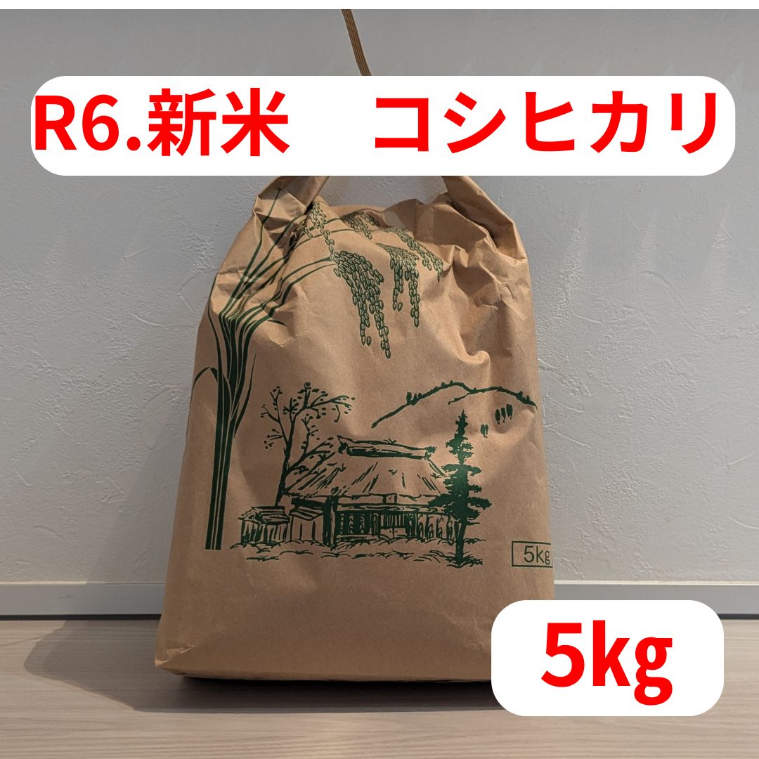 農家直送！【令和6年度新米】福島県産 コシヒカリ 精米済み20【5㎏】※送料別 - メルカリ