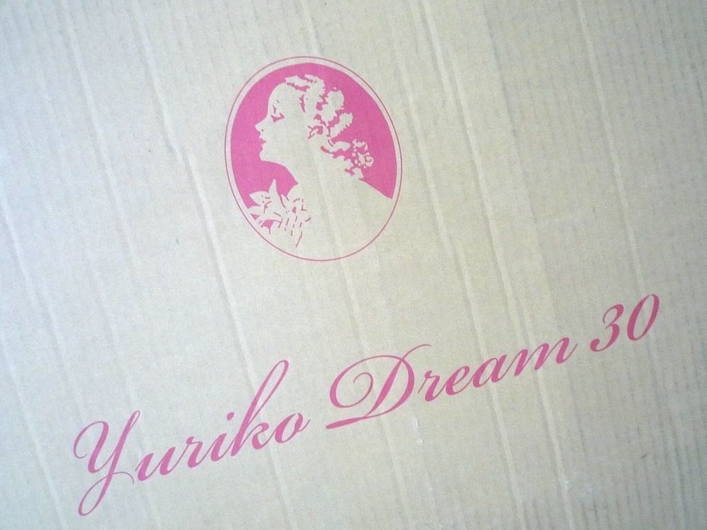 新品未使用 参考32万円 YURIKO ドリーム 30 電位温熱組合せ ユリコ ダブルパワー シングルマット リリーサミットインターナショナル 箱取説  - メルカリ