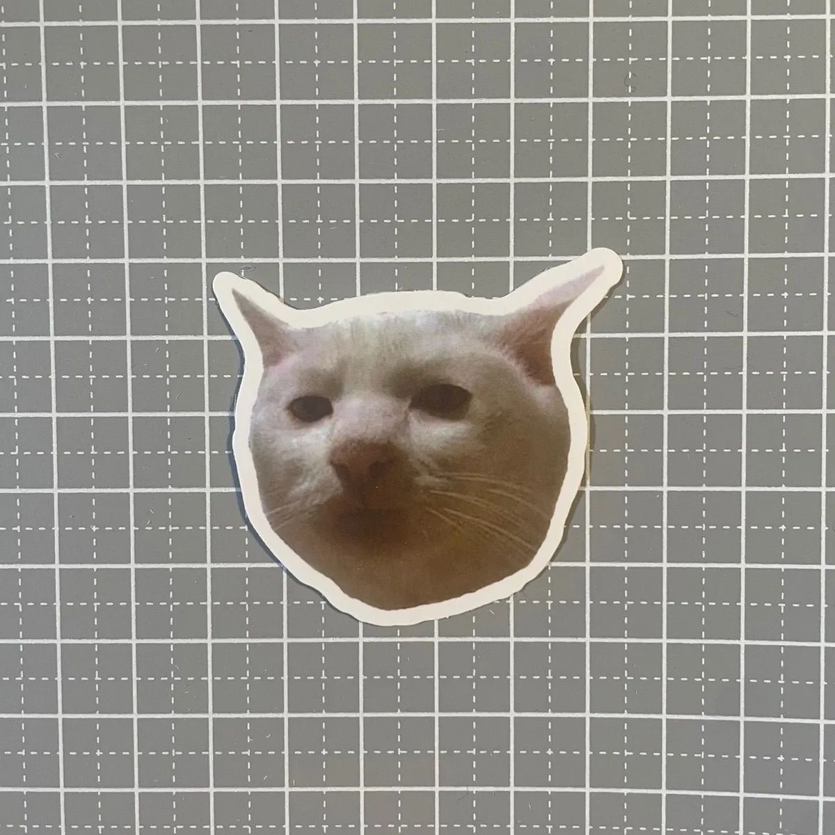 猫ミーム かわいすぎる『猫ミーム』をたくさん見つけたいロブロックス
