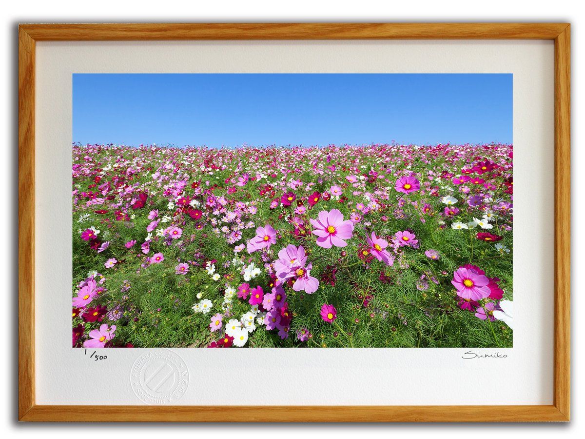 絵画 。壁掛け絵【夜光の蛍の火とピンクの花の海、緑のドレスを着た