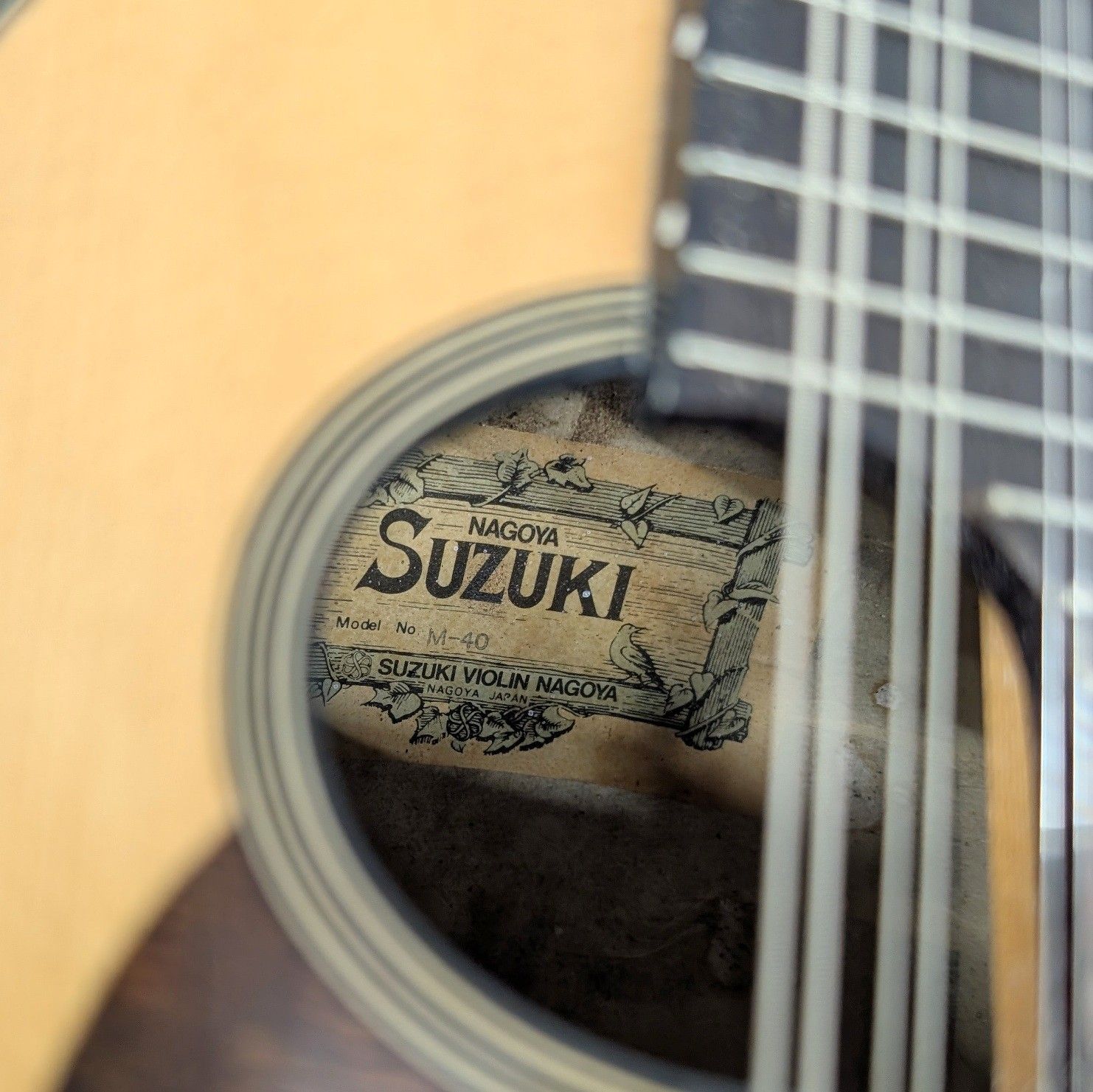 スズキ マンドリン M-40 SUZUKI 現状品 - メルカリ