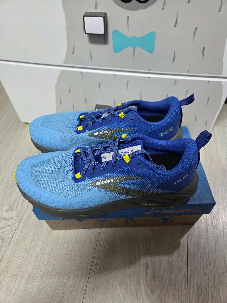 BROOKS ブルックス メンズ カスカディア 17 275mm