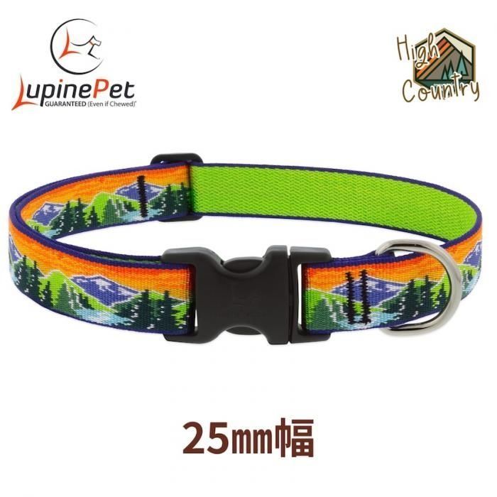 鉄道関連グッズ鉄道プレート 愛称板サボ 特急あやめ／特急さざなみ