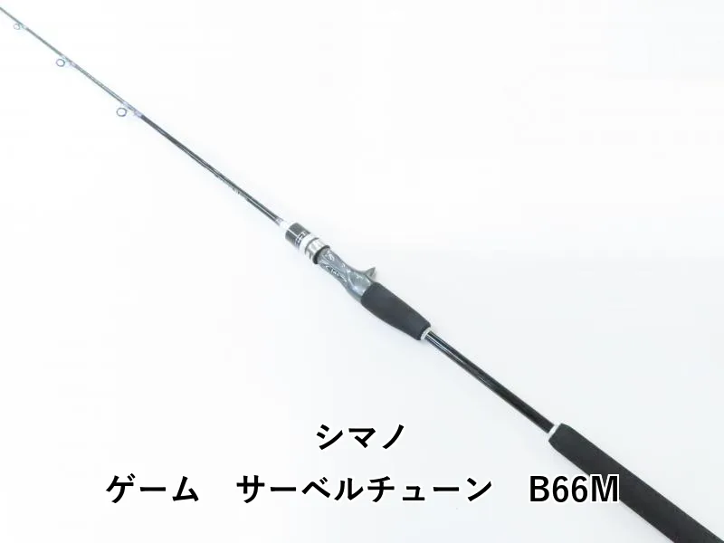 2025年最新】サーベルチューンの人気アイテム - メルカリ