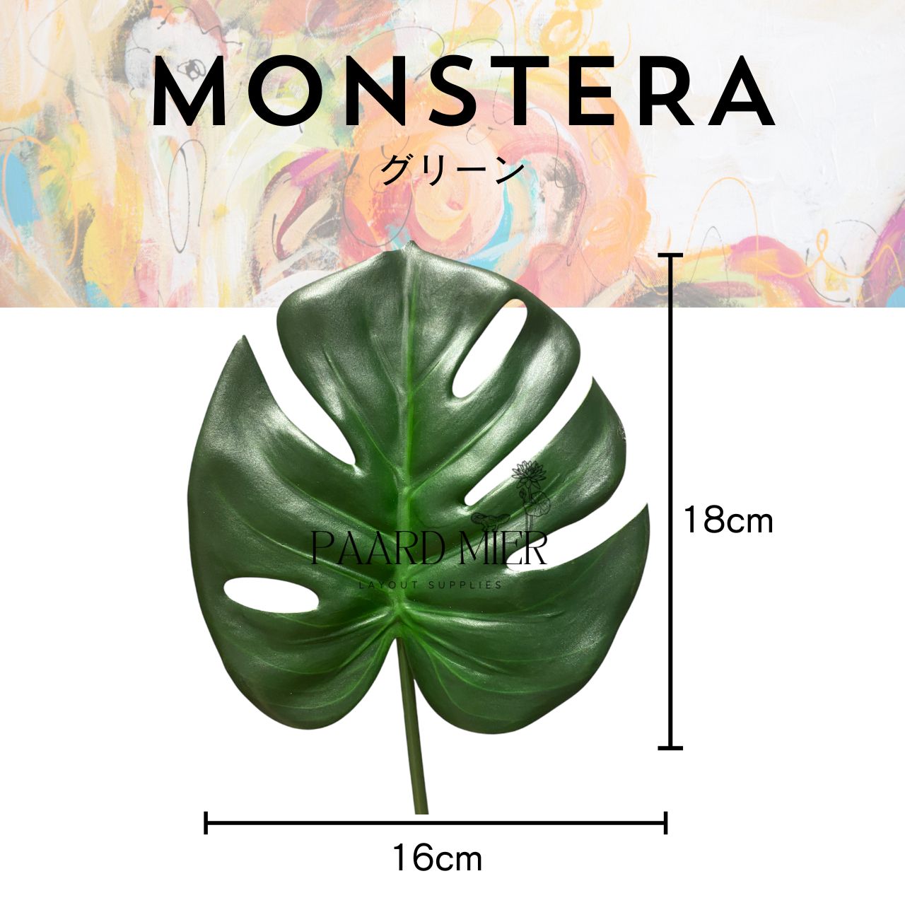 マーブルモンステラセット他