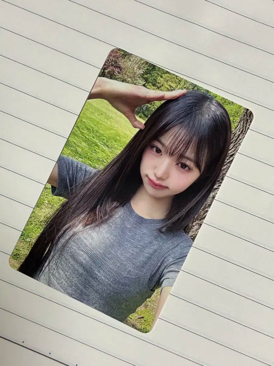Amazon.co.jp: Dicon IVE 公式 ウォニョン トレカ 込 : おもちゃ