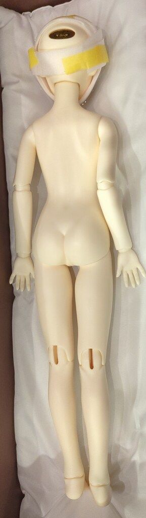 ボークス SD女の子 想いでの街 原宿 リーゼロッテ the Best of the Bests Ver. 2019 STEELWINDOWSANDDOORS_COM