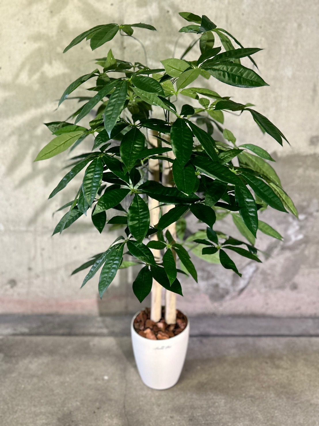 人工観葉・フェイクグリーン 光触媒 人工観葉植物 ウォールグリーン