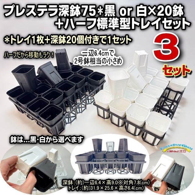 ゴルフ 限定品TP5 pix™ Peppers（ペッパー）ボール 1ダース新品未使用品