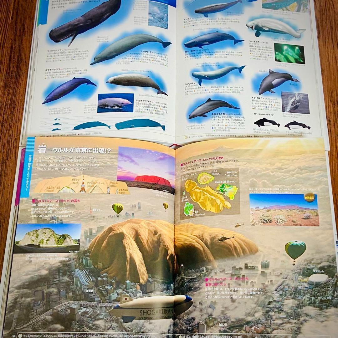 Z1【16冊】小学館の図鑑NEO 危険生物 恐竜 宇宙 絵本 セット