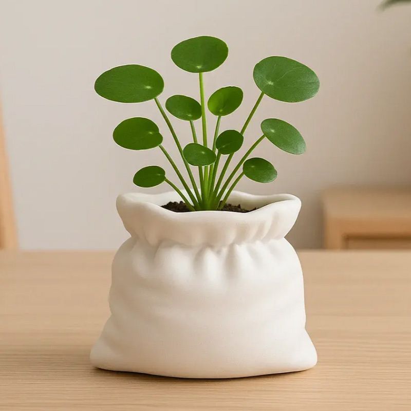 植木鉢 おしゃれ オフィス デスク 袋型 ホワイト 飾り 趣味 草花