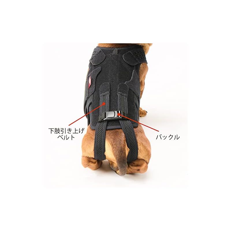 犬用コルセット アニフル わんコル 持ち手つき ソフトタイプ Sサイズ