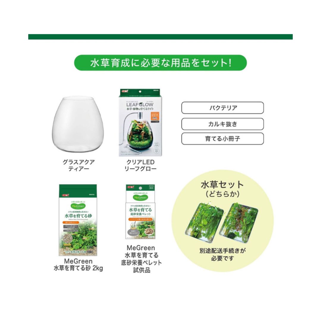 新鮮な水草付き