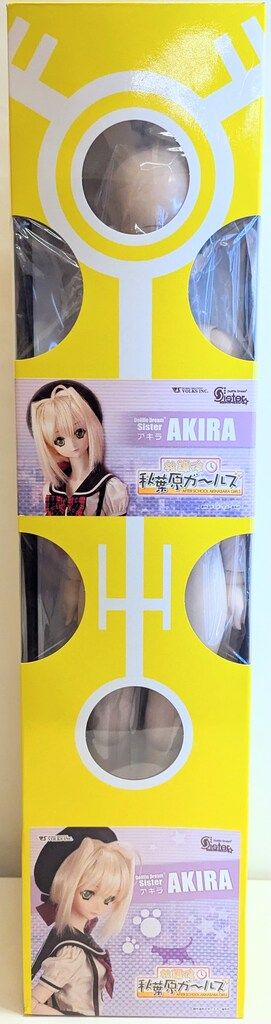 ボークス DDS 放課後秋葉原ガールズ アキラ 1st