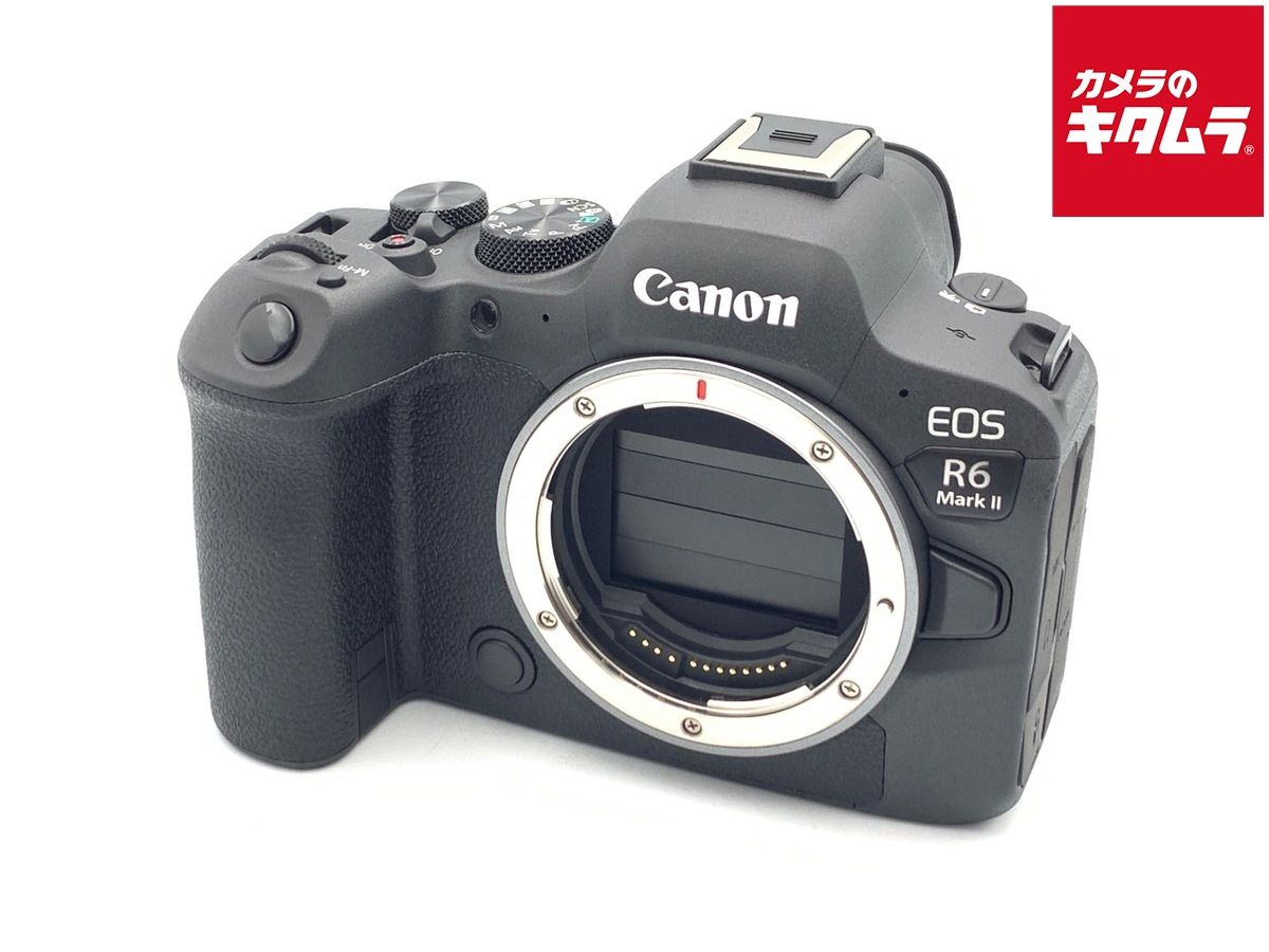 シャッター約1600回 Nikon Z fc DX16-50 SL KIT ニコン Nikon