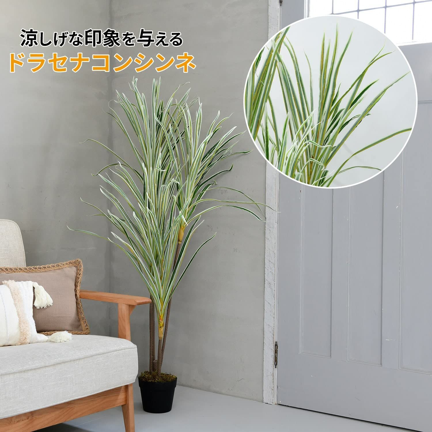 SIMPLANTS