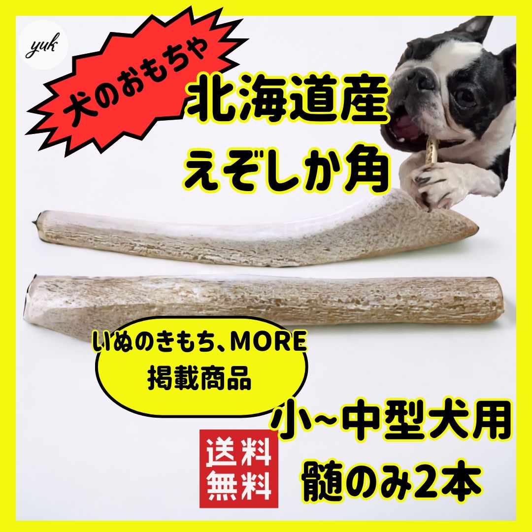 24時間以内発送】小~中型犬用 髄のみ 2本セット 髄が好きな子、歯が