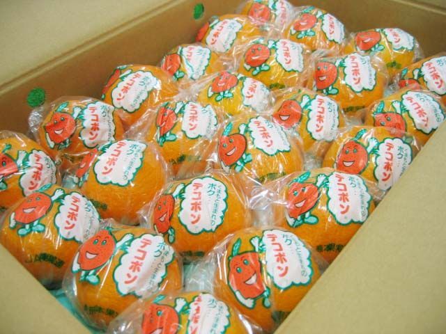 かんきつ類 贈答用