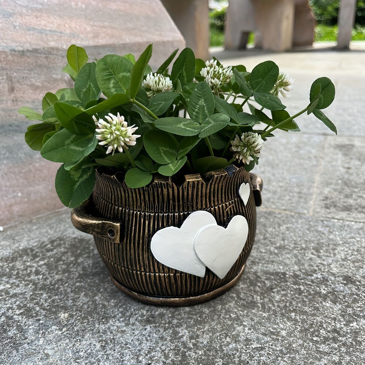 多肉 ハート型プランター 815ZAkCTDlL._AC_UF894,
