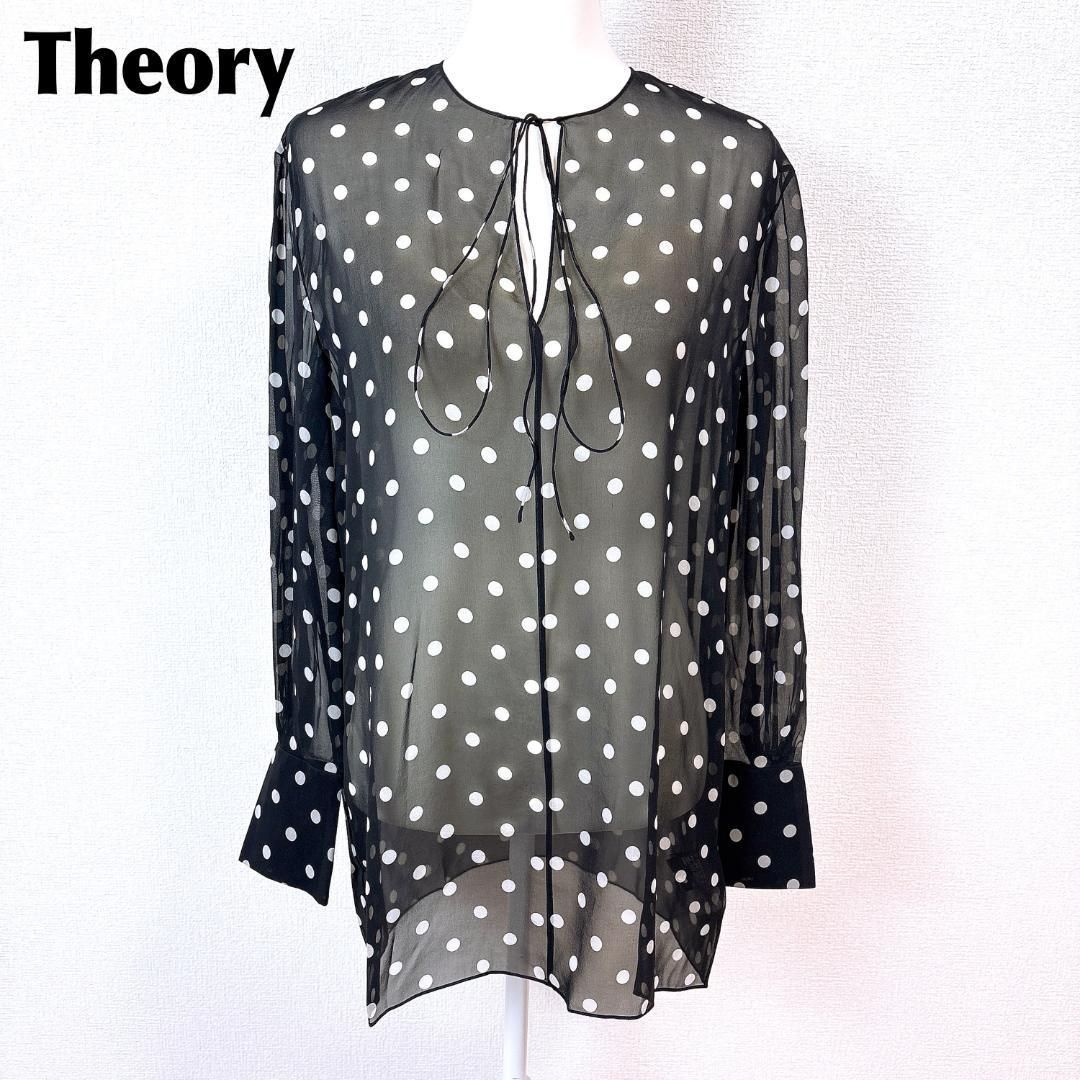 セオリー Polka