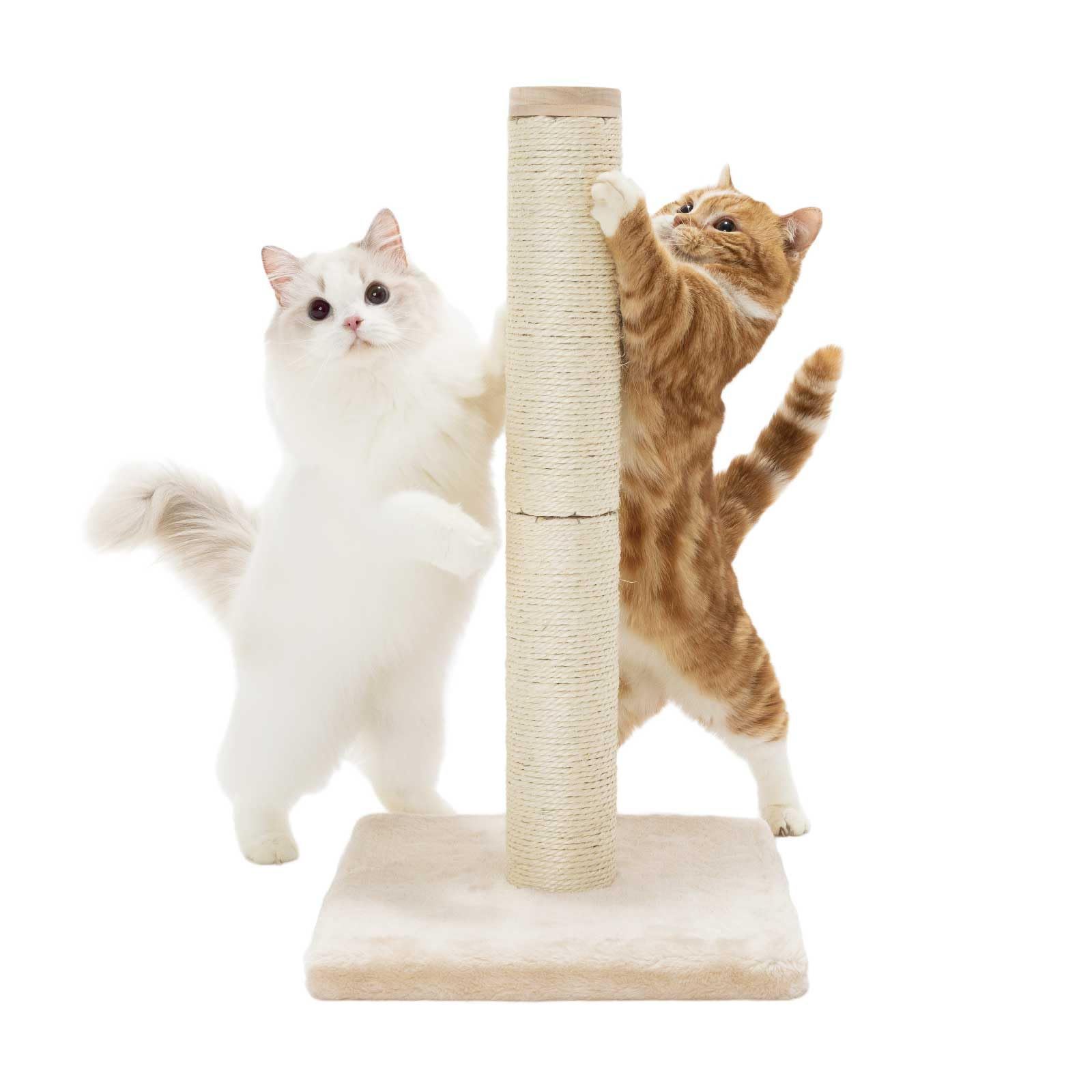 売切注意 お急ぎ下さい 猫壱 バリバリつめとぎポール 麻 ベージュ レギュラー