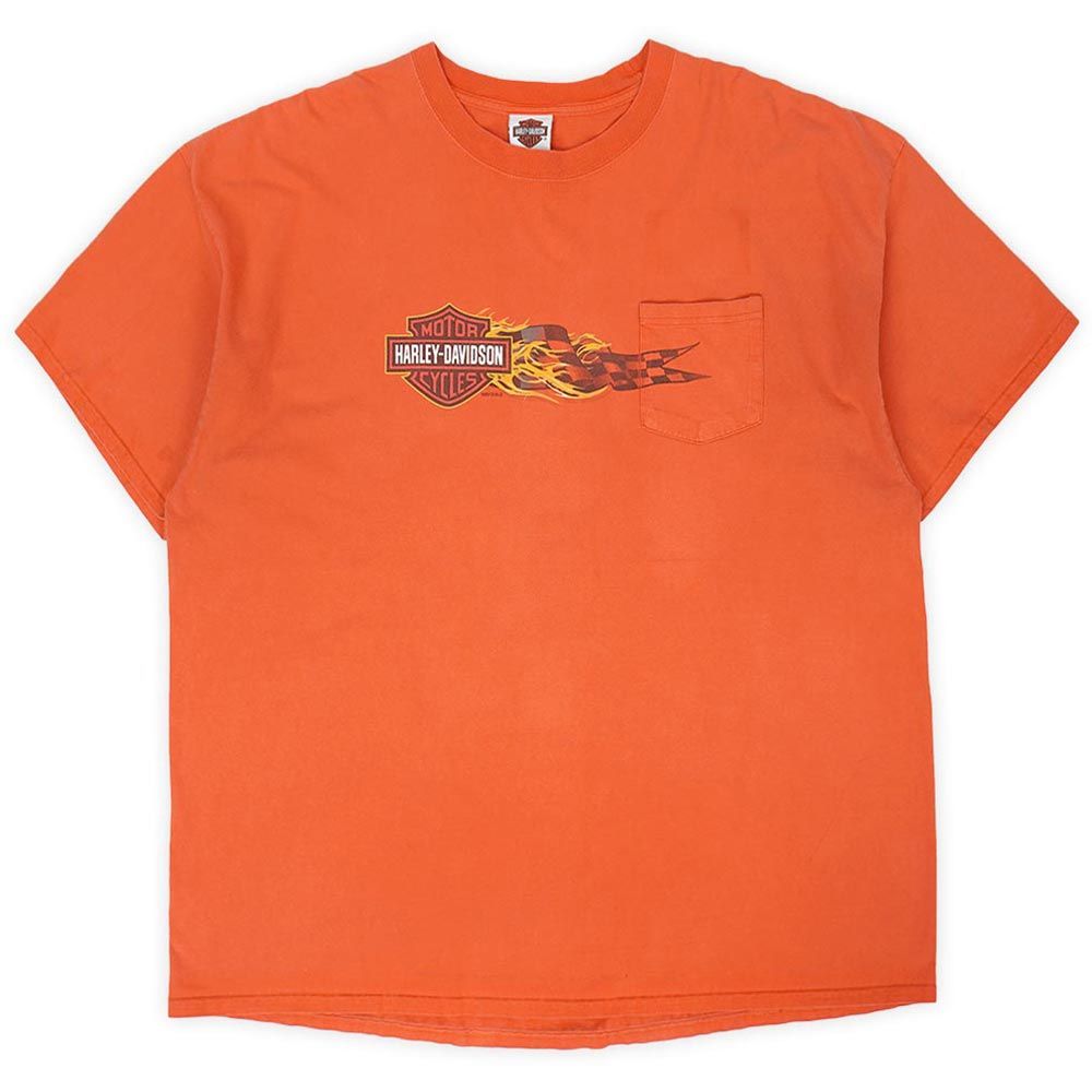 90s 00s Harley-Davidson フレイム ファイヤーパターン