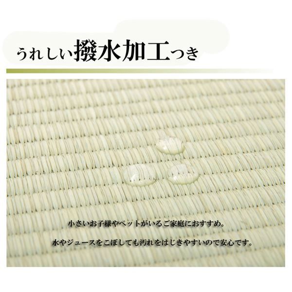 い草 上敷き ラグマット 無地 江戸間4.5畳 約261×261cm はっ水 抗菌 防臭 調湿 リバーシブル 撥水 湖水 〔リビング〕 代引不可
