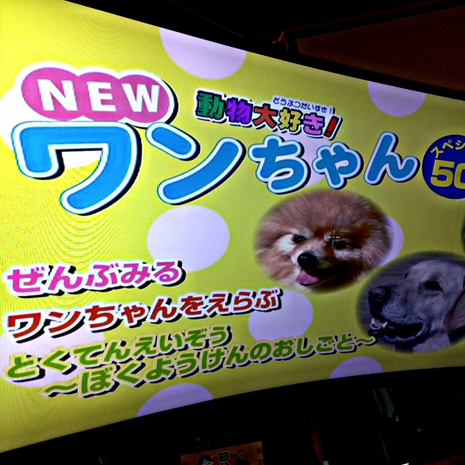 🐈‍⬛  🐕️🐩💕動物 大好き! NEW-ワンちゃん! スペシャル 50 - 和美容