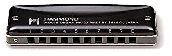 -非常に良い HAMMOND ハモンド 10穴ハーモニカ HAMMOND HA-20 G調