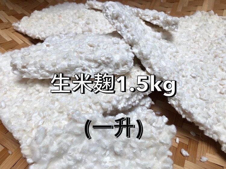 生米麹 1.5kg-0