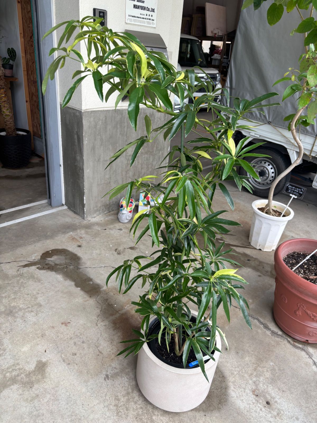 北欧ヴィンテージ ビヨン・ヴィンブラッド 花瓶 ウェグナー チェア