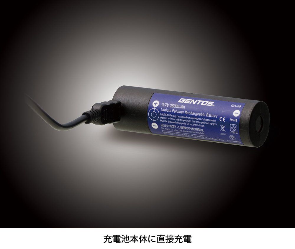 展示品 GENTOS GF-014RG LEDライト 懐中電灯 Gシリーズ  GENTOS(ジェントス) LED 懐中電灯 USB充電式 専用充電池使用 Gシリーズ