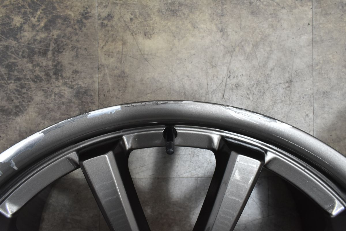 大口径 レグザーニ