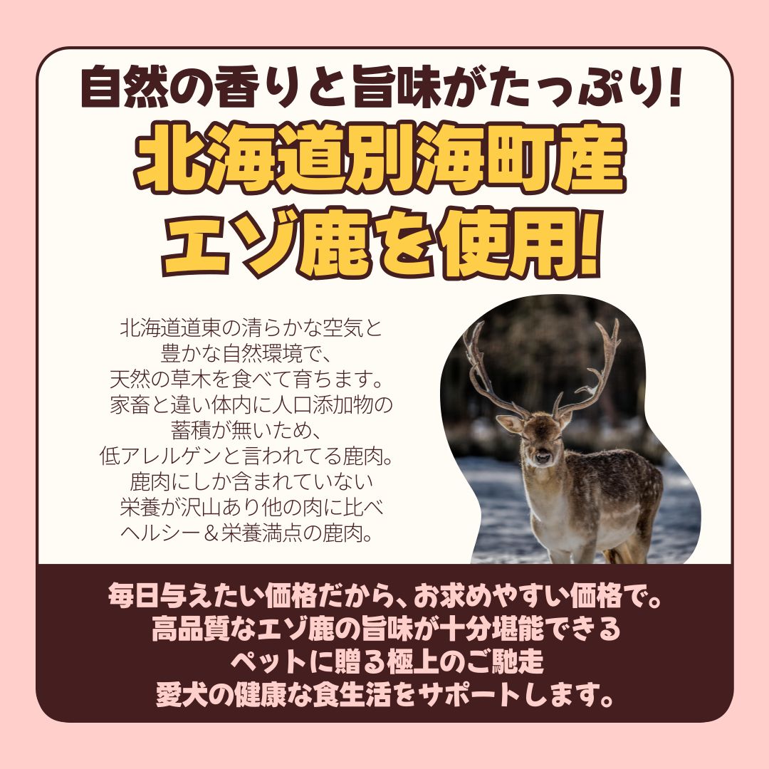 エゾ鹿