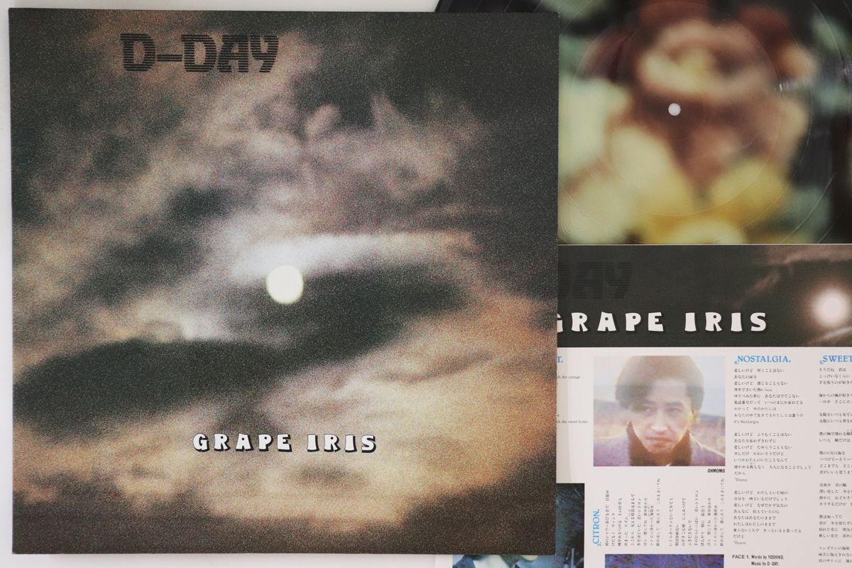 IRIS 極美品D-DAY／GRAPE LPレコード - Grape Iris &lt (TB) Disc