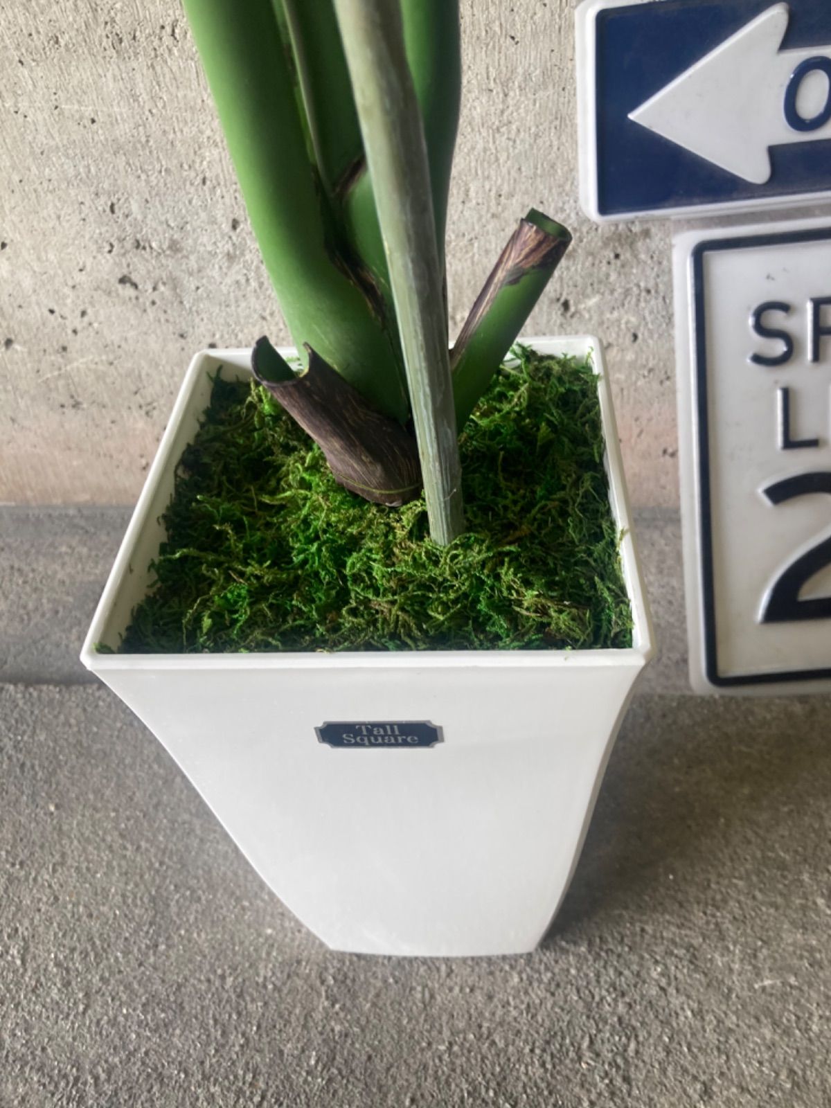 人工観葉植物
