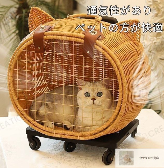 小型犬