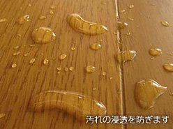 ビアンコジャパン ビアンコートＢ|艶有|希釈済|UV対策なし