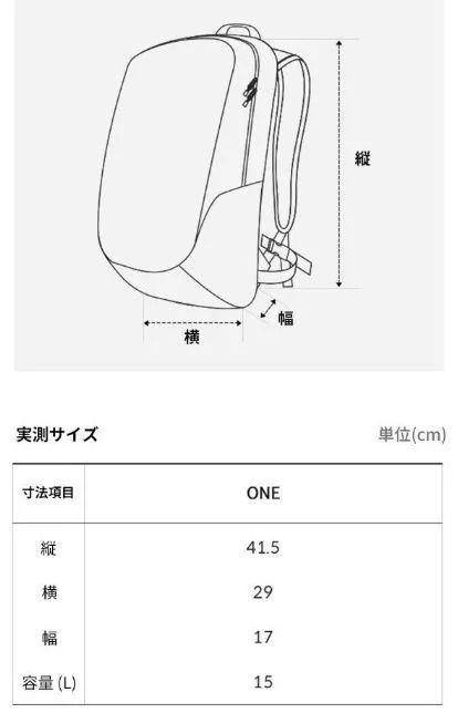 新品(ザ・ノースフェイス) THE NORTH FACE ASCEND LT 15 NM2SQ09 ロゴ リュック バックパック レディース メンズ ストリート カジュアル シンプル 旅行 ビジネス レインカバー 通学かばん カジュアル ストリート