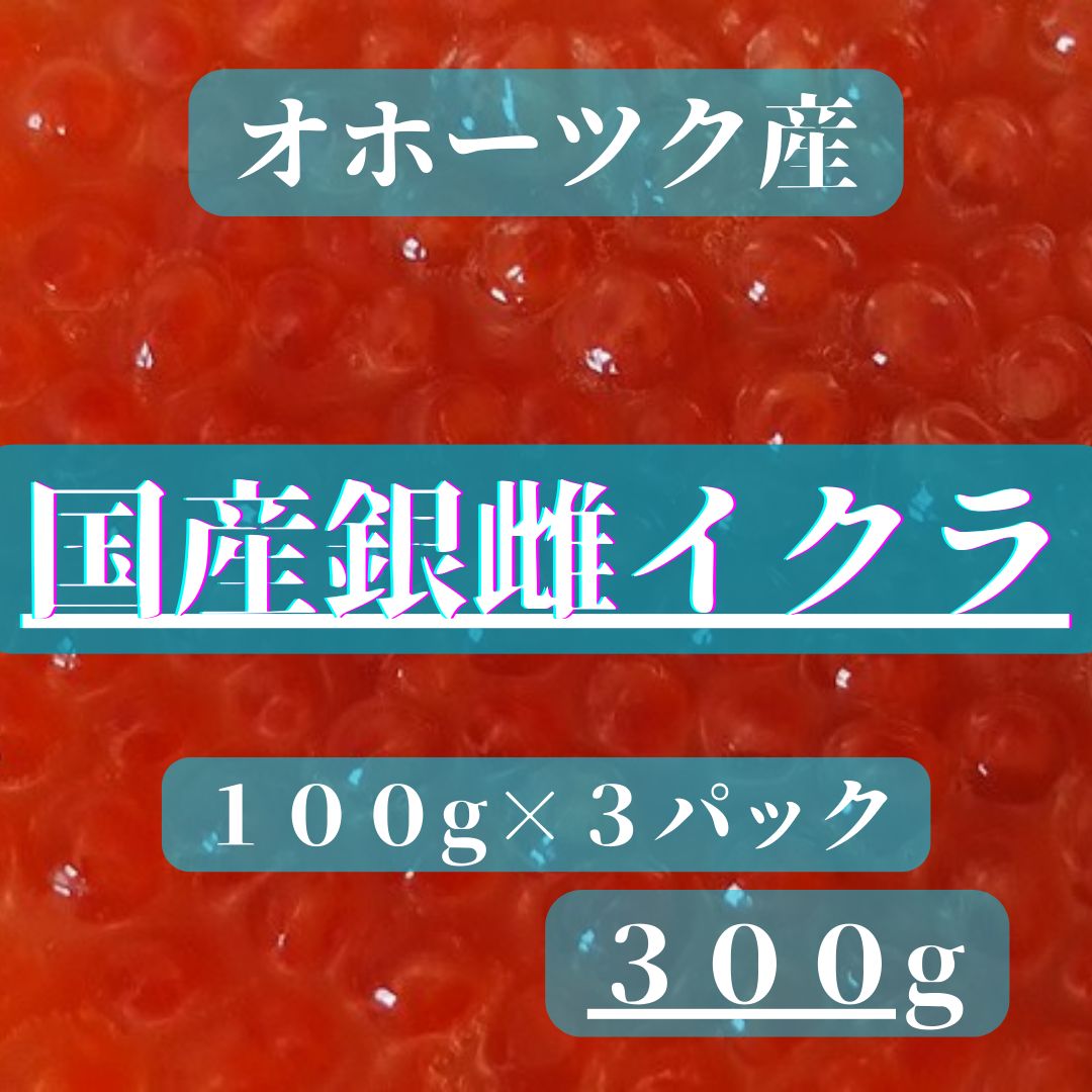 国産銀雌イクラ  100g入り×3パック