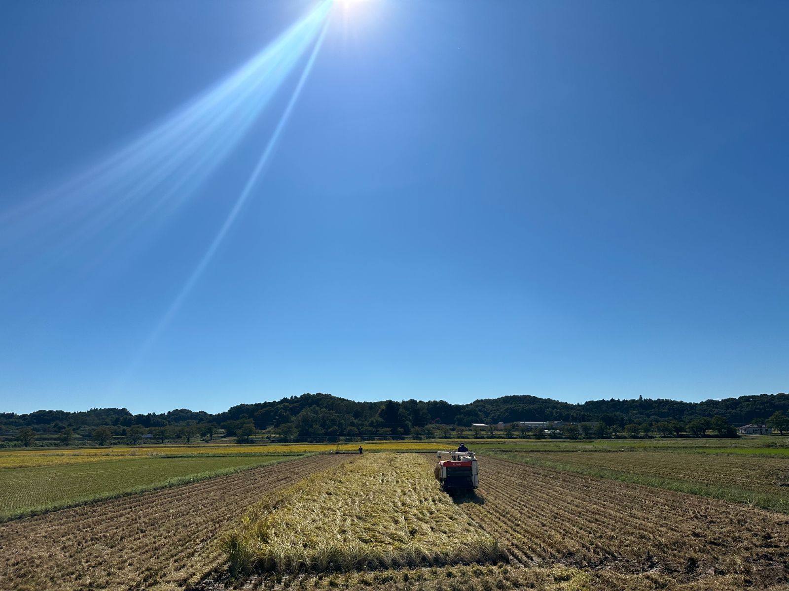 30キロ 美穂田鍋山