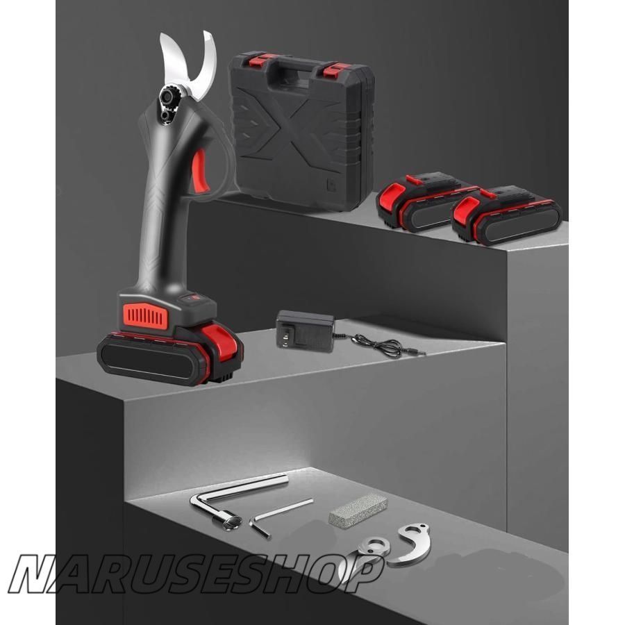 ブラシレスモーター SK5炭素鋼