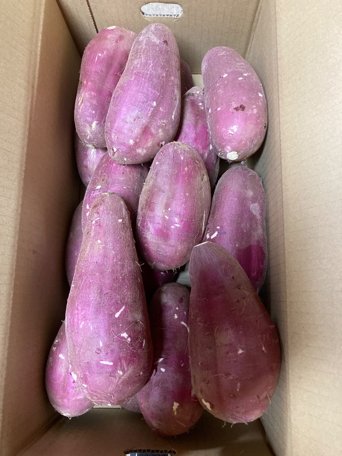 natsu様専用 ⭐︎natsu様 専用です。 natsu様専用でございます。（natsu☆