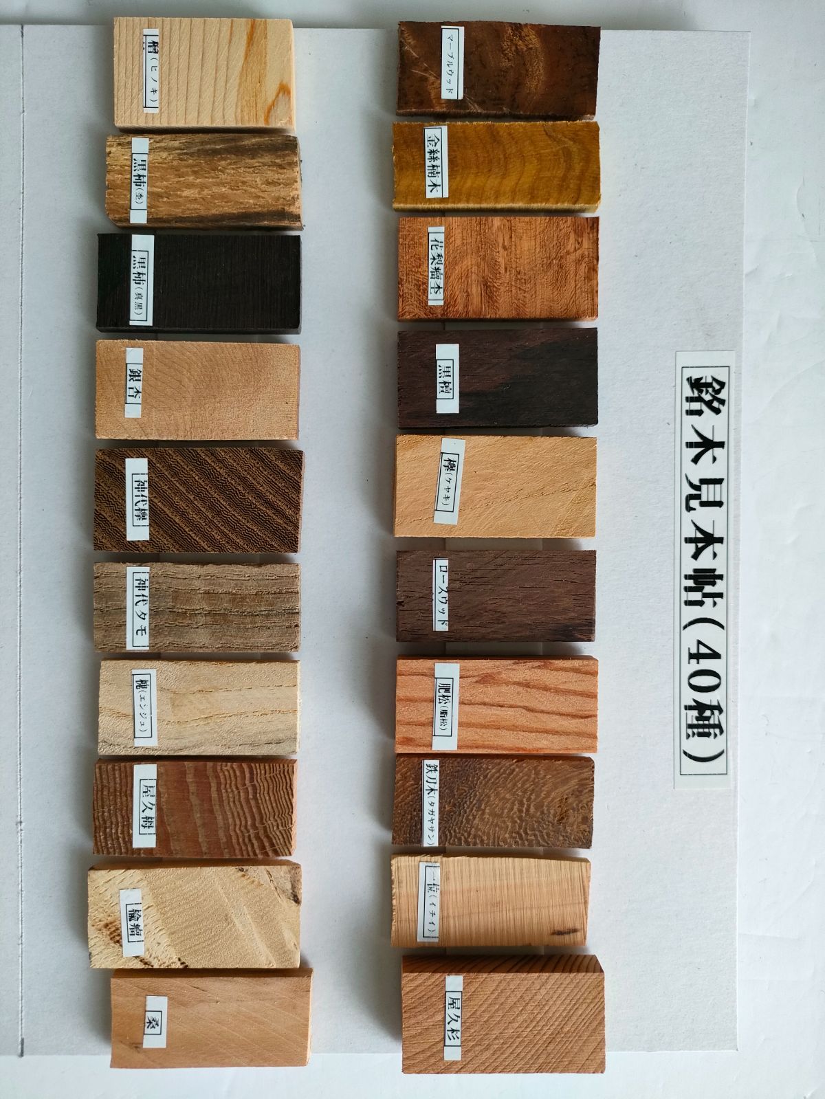 【銘木見本帖（126樹種）】 銘木見本帖（126種）】3ケース入り 銘木見本帖（126樹種