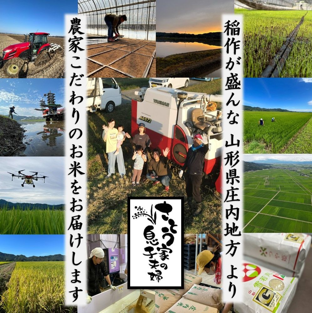 トム　山形県庄内産20kg 山形県庄内産 トム 山形県庄内産20kg 山形県庄内産 山形県庄内産 はえぬき 白米