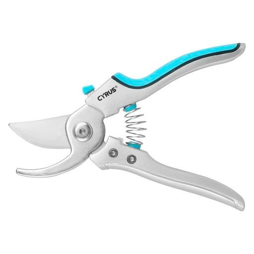 マンモス牙彫 根付 帯留 貝殻に蟻