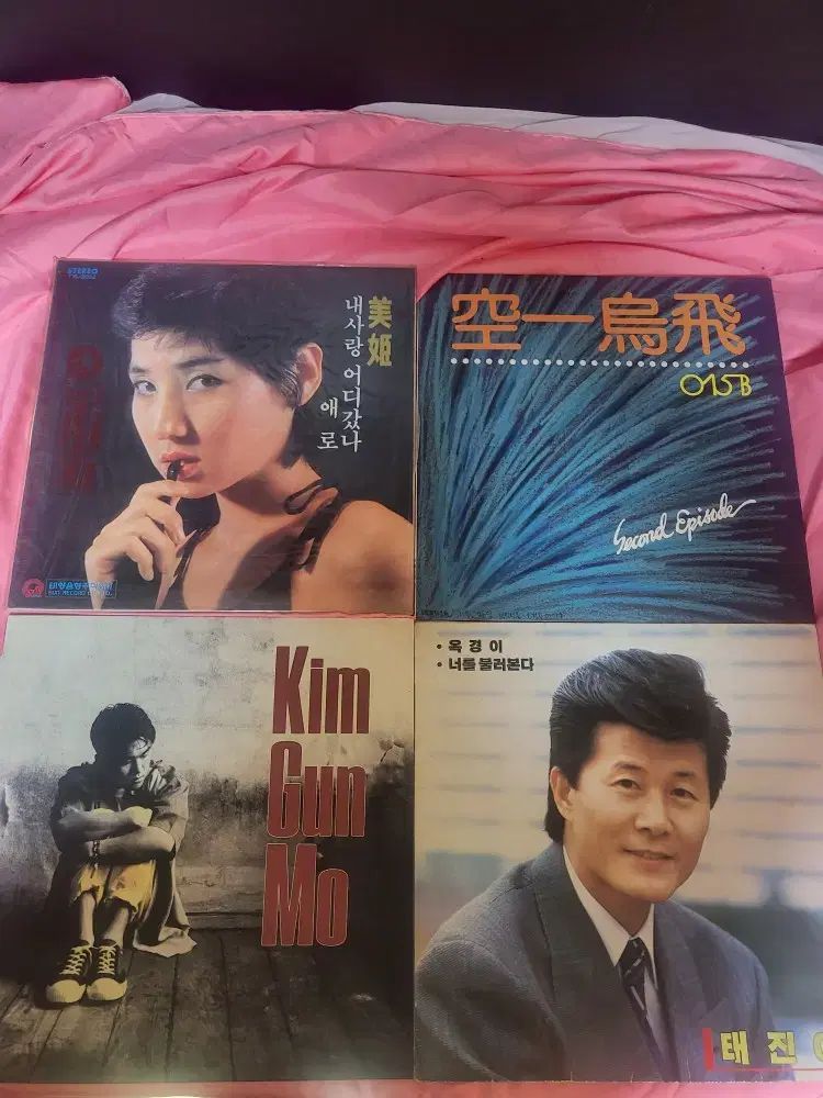 韓国 ゲイヨー LP 20 腸