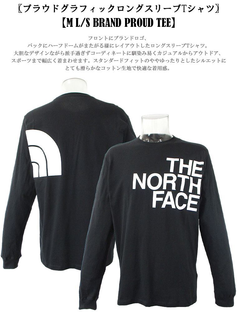 THE NORTH FACE ロングTシャツ 海外限定 ストリート 希少